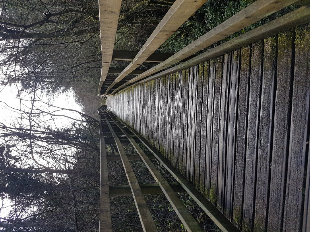 The Dingle (Nant y Pandy) Nature Reserve景点图片