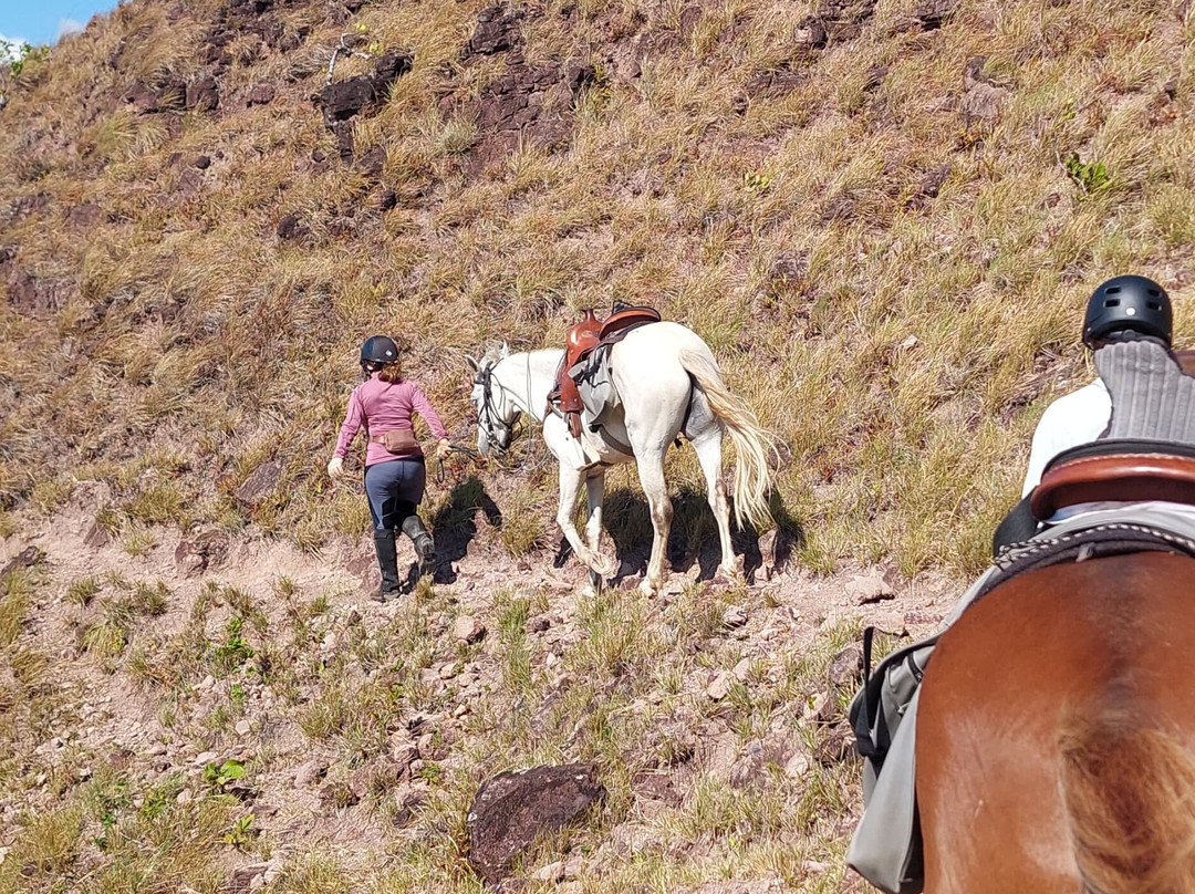 Horseback Panama Adventure Tours景点图片