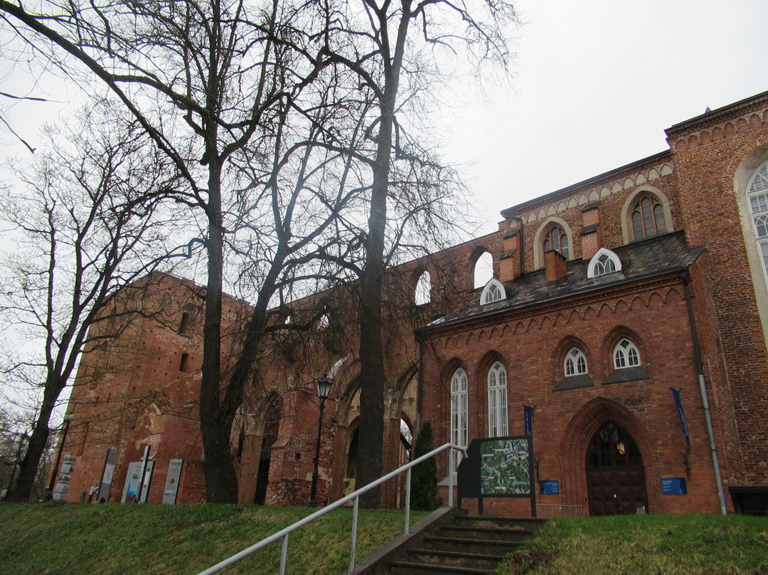 Tartu Cathedral景点图片