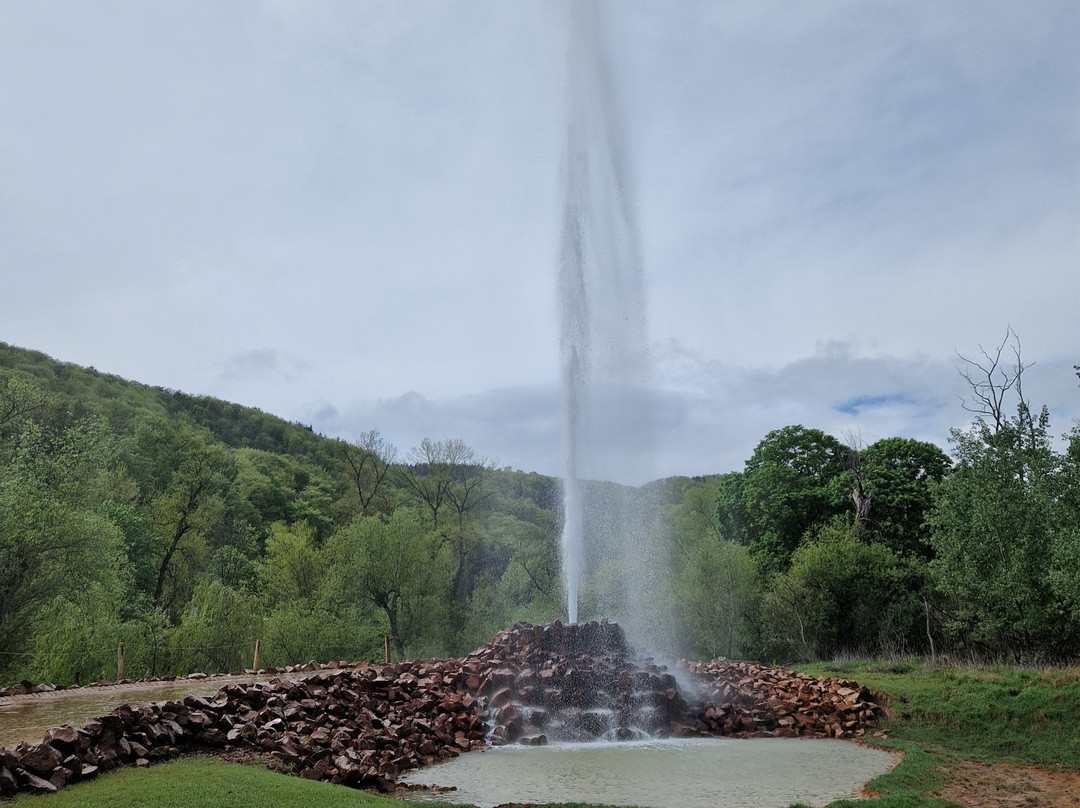 Geysir Andernach景点图片