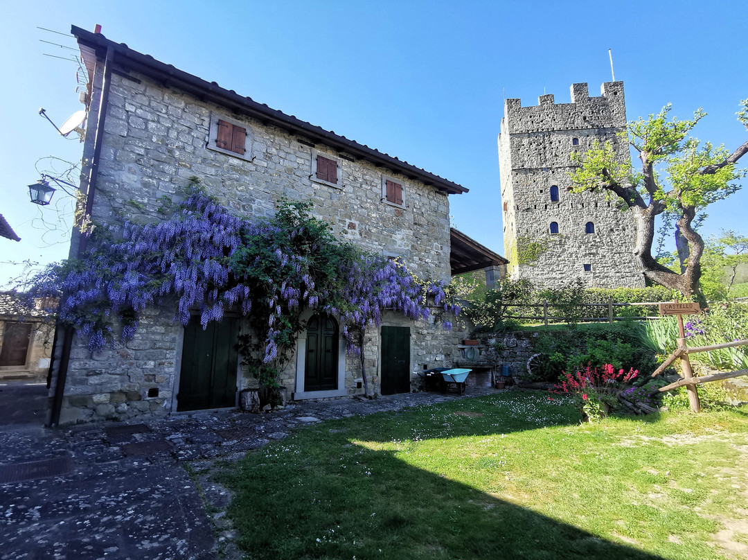 Castello di Porciano景点图片