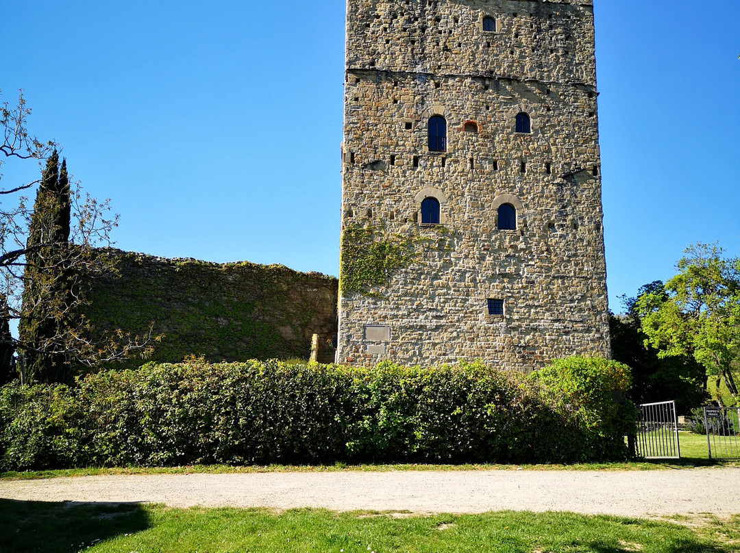 Castello di Porciano景点图片