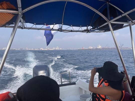 Dorado Buceo-韦拉克鲁斯必去景点