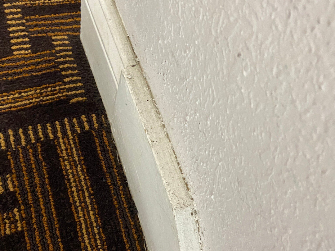 Quality Inn Calvert City - Paducah East主图