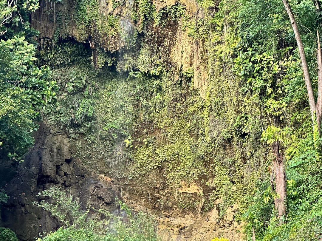 Kawasan Falls Bohol景点图片