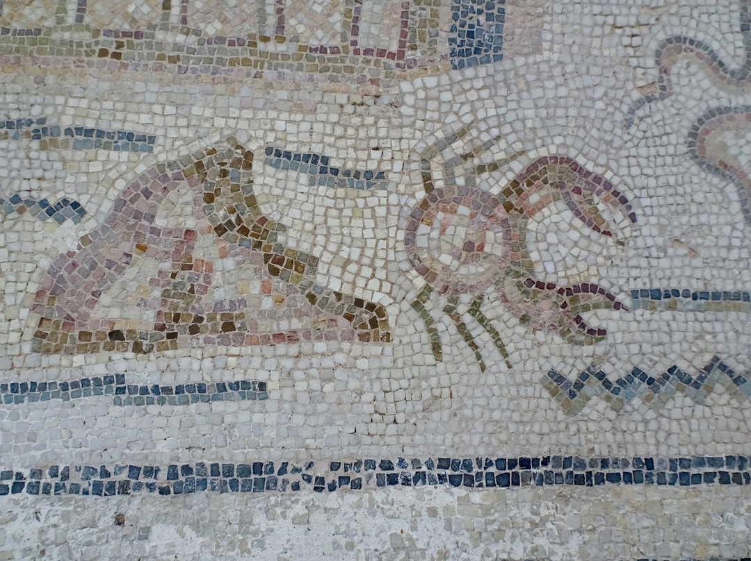 Musee des Ruines d' Hippone-阿拿巴必去景点