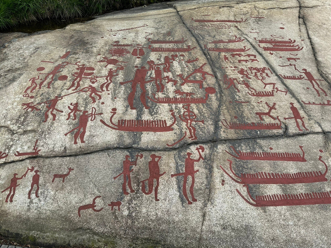 石刻艺术青铜时代岩画世界遗产塔努姆景点图片
