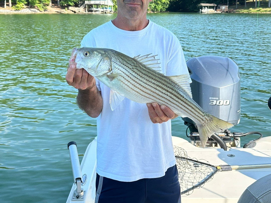 Clint's Striper Guide Service-Union Hall必去景点