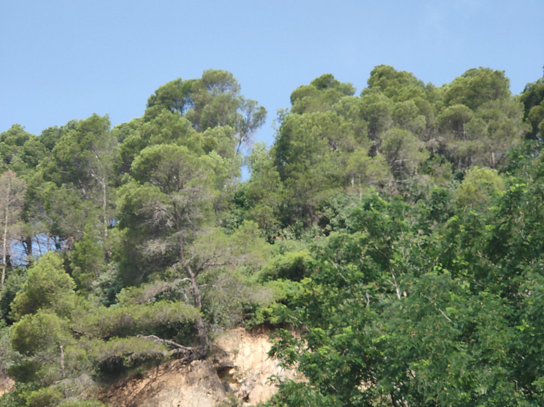 Stella Maris Soggiorno di Vacanza主图