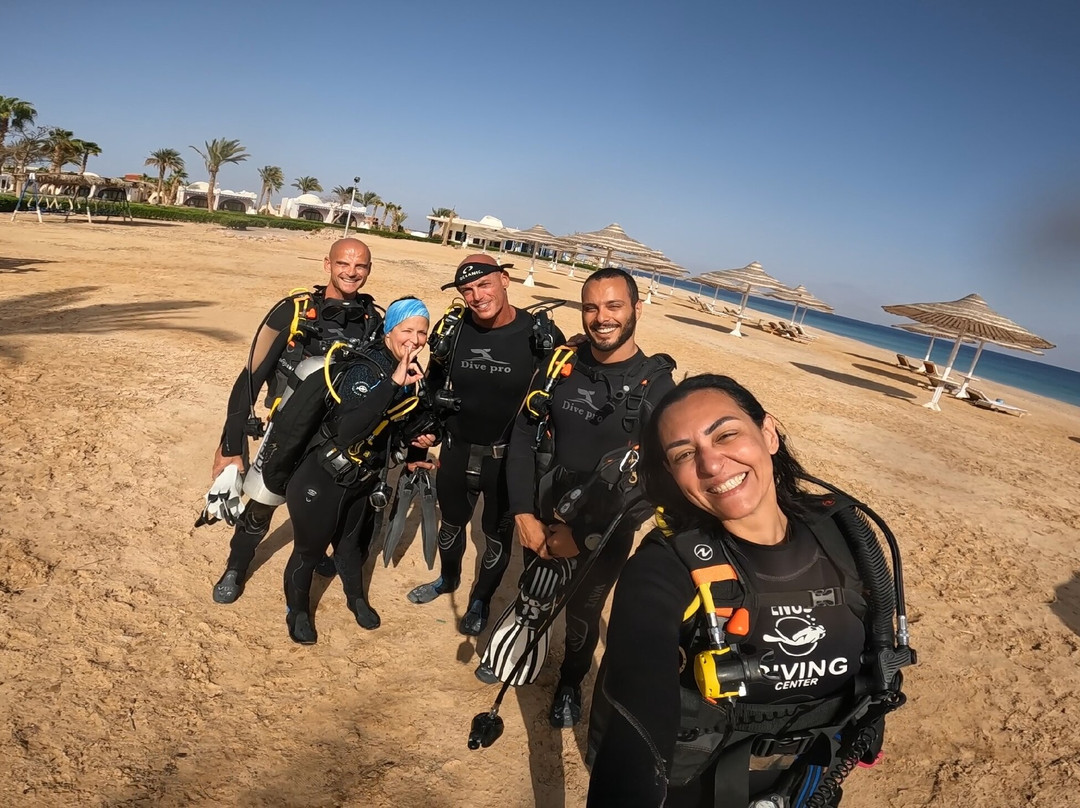 Venus Diving Center-努威巴必去景点