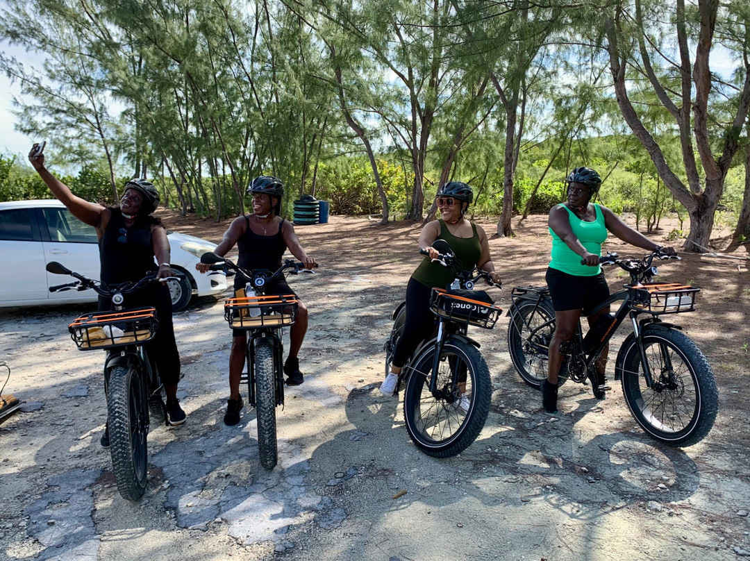 Twin E-bike Tours & Rentals