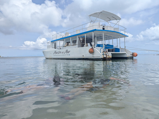 Splash Sports Catamaran Cruises-斯卡伯勒必去景点