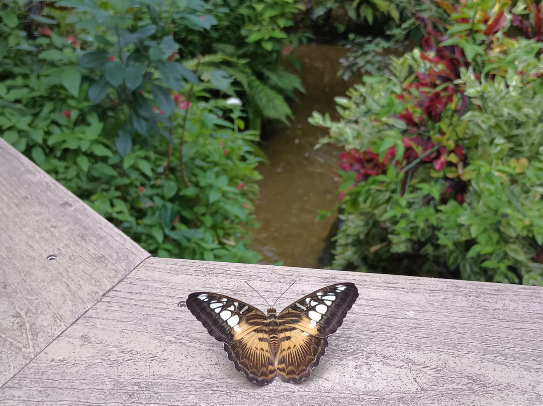 Florida Museum Of Natural History-盖恩斯维尔必去景点