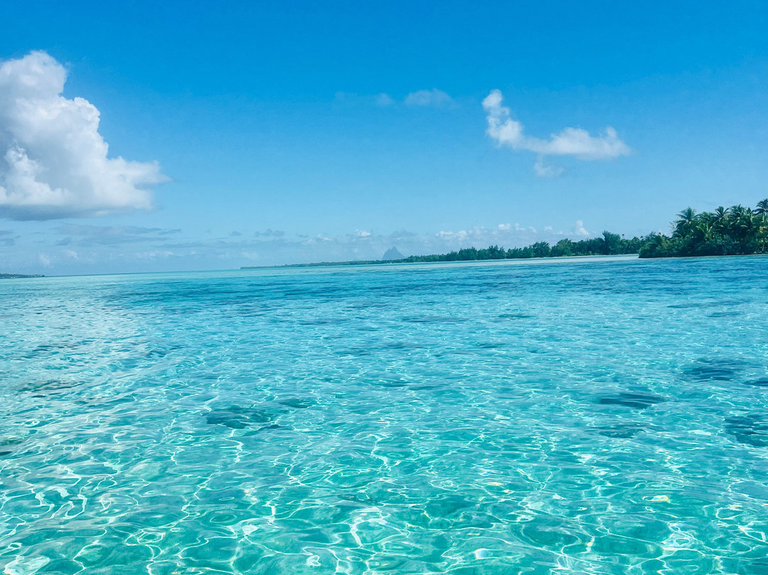 Terainui Tours Excursions Tahaa-Haamene必去景点