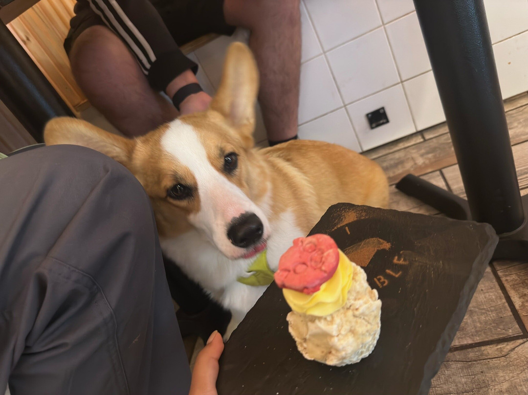 Kibble Bakery - Hebden Bridge
