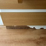 Hotel Forest Beach主图