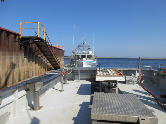 Portneuf- Sur- Mer Marina-Portneuf-sur-Mer必去景点