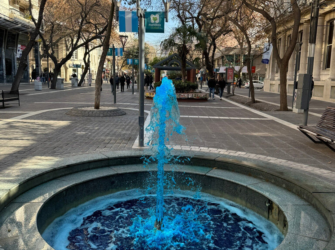 Paseo Peatonal Sarmiento-门多萨必去景点