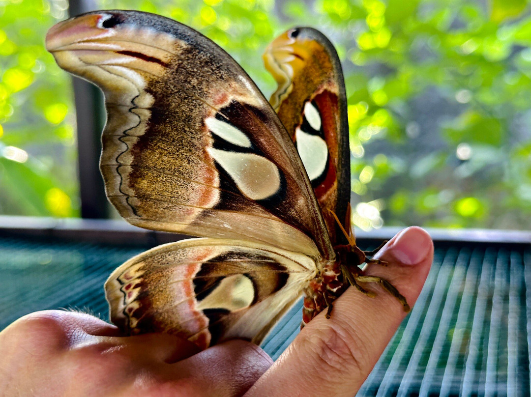 Tulamben Transport Paradise-库布必去景点