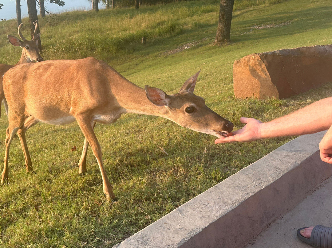 Lakeview Lodge主图