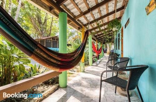 Main St Boutique Tropical Room主图