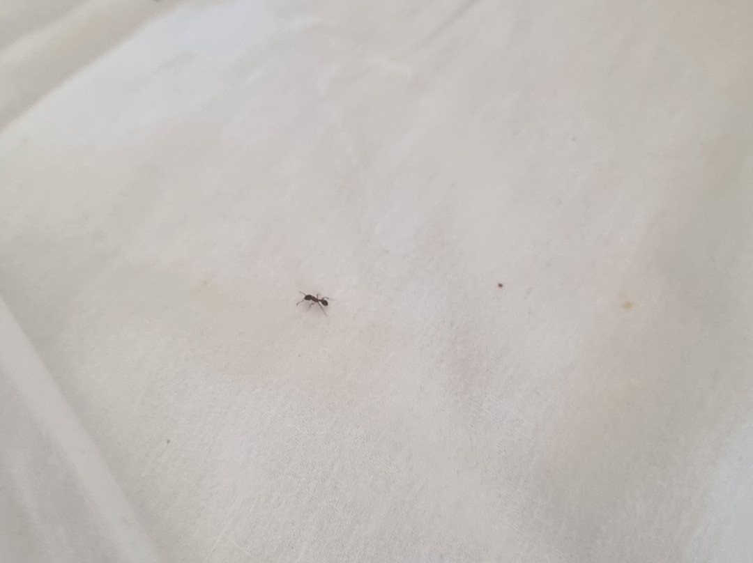 Insotel Punta Prima Resort & Spa主图