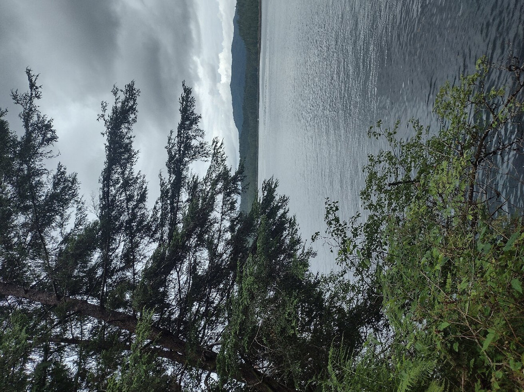 Rushbrook Trail景点图片