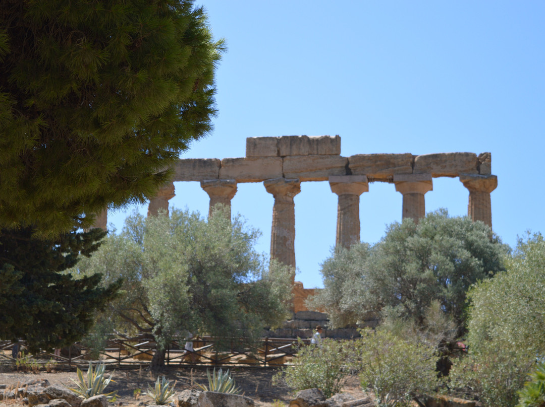 Sicily Travelnet Private Tours景点图片
