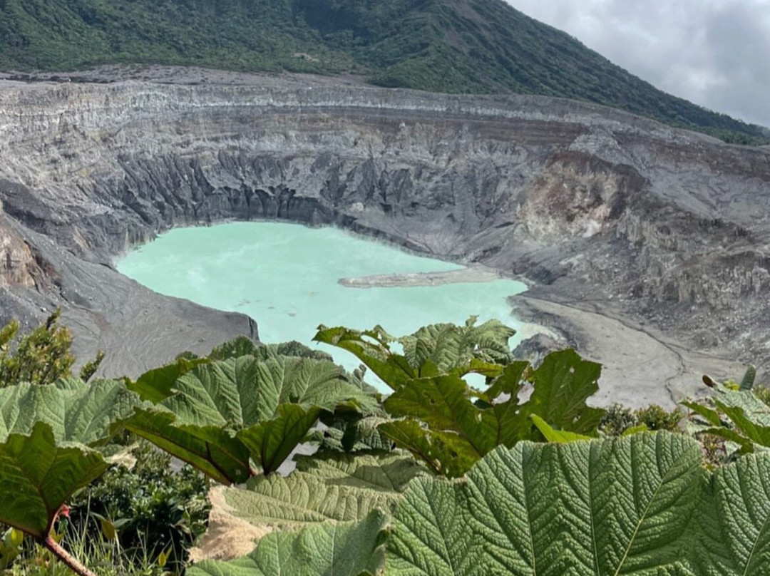 Volcan Poas Experience景点图片