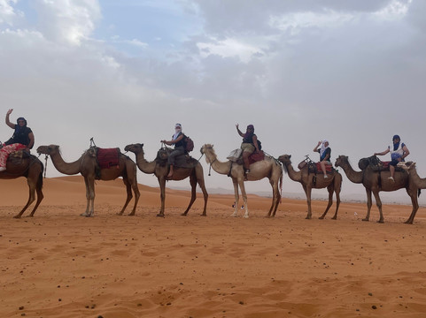 Sahara Travel Trips-马拉喀什必去景点