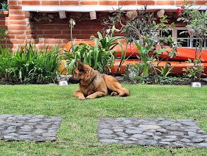 艾斯特里塔旅馆主图