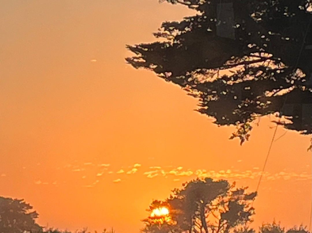 圣西蒙小屋酒店主图