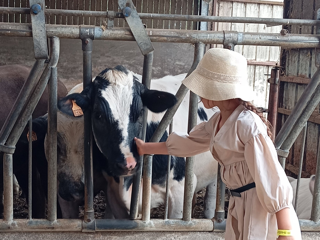 Labyrinthe de la Ferme Beun景点图片