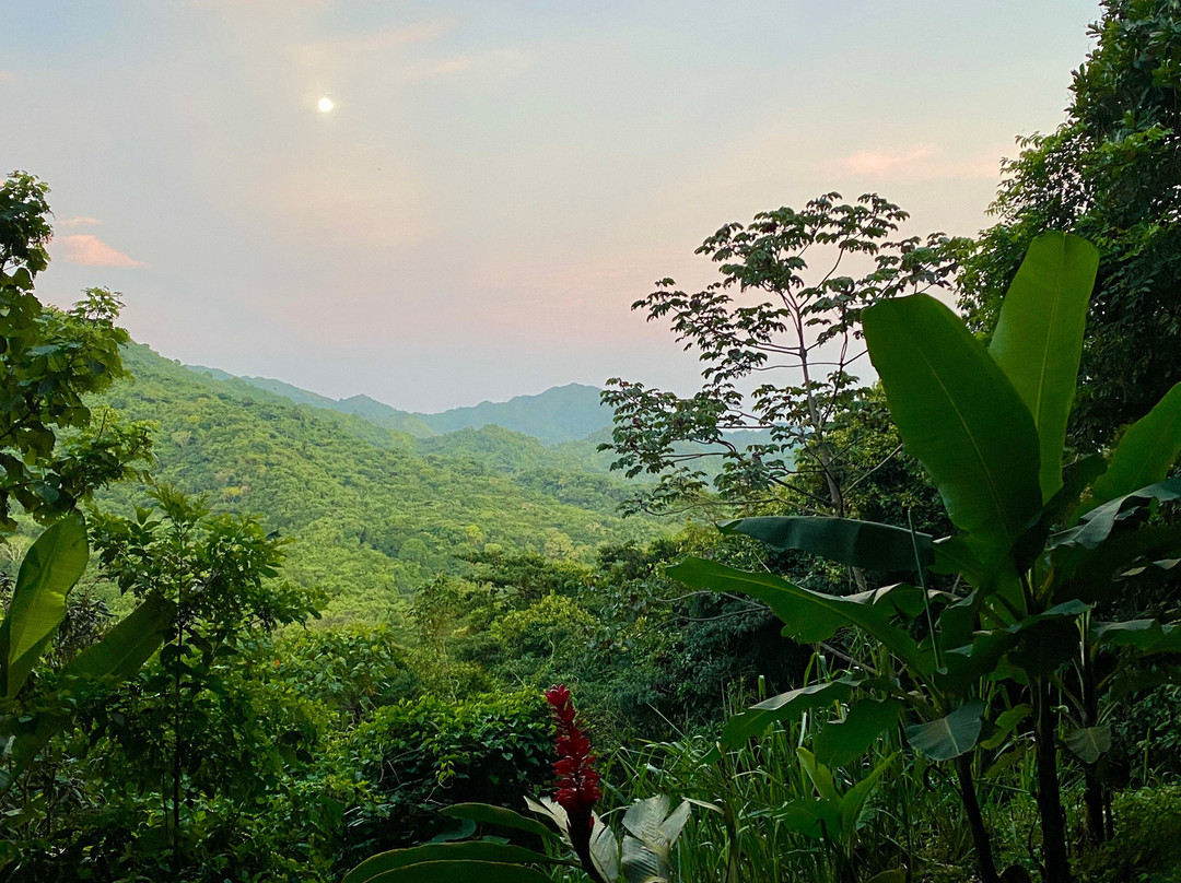 Casa Loma Minca主图