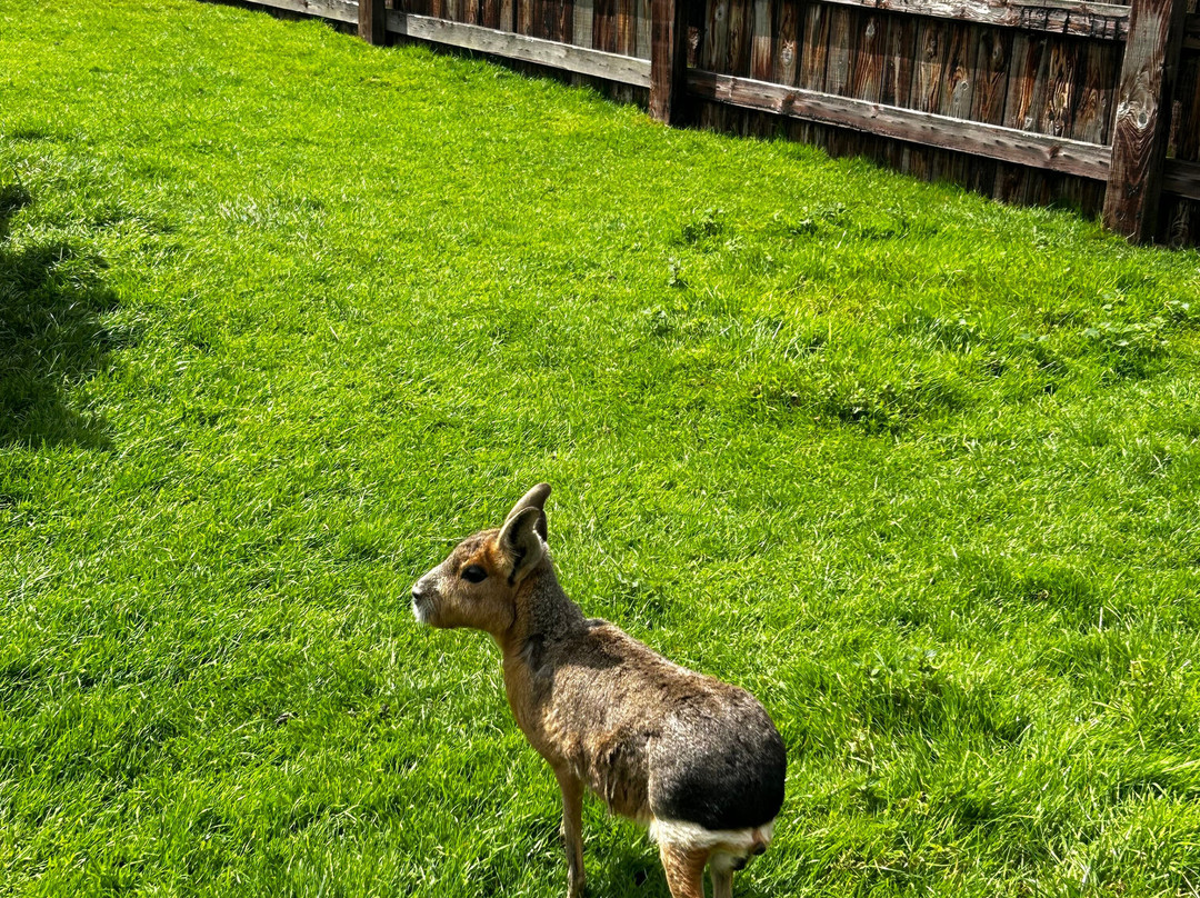 Kildare Farm Foods Open Farm & Shop景点图片