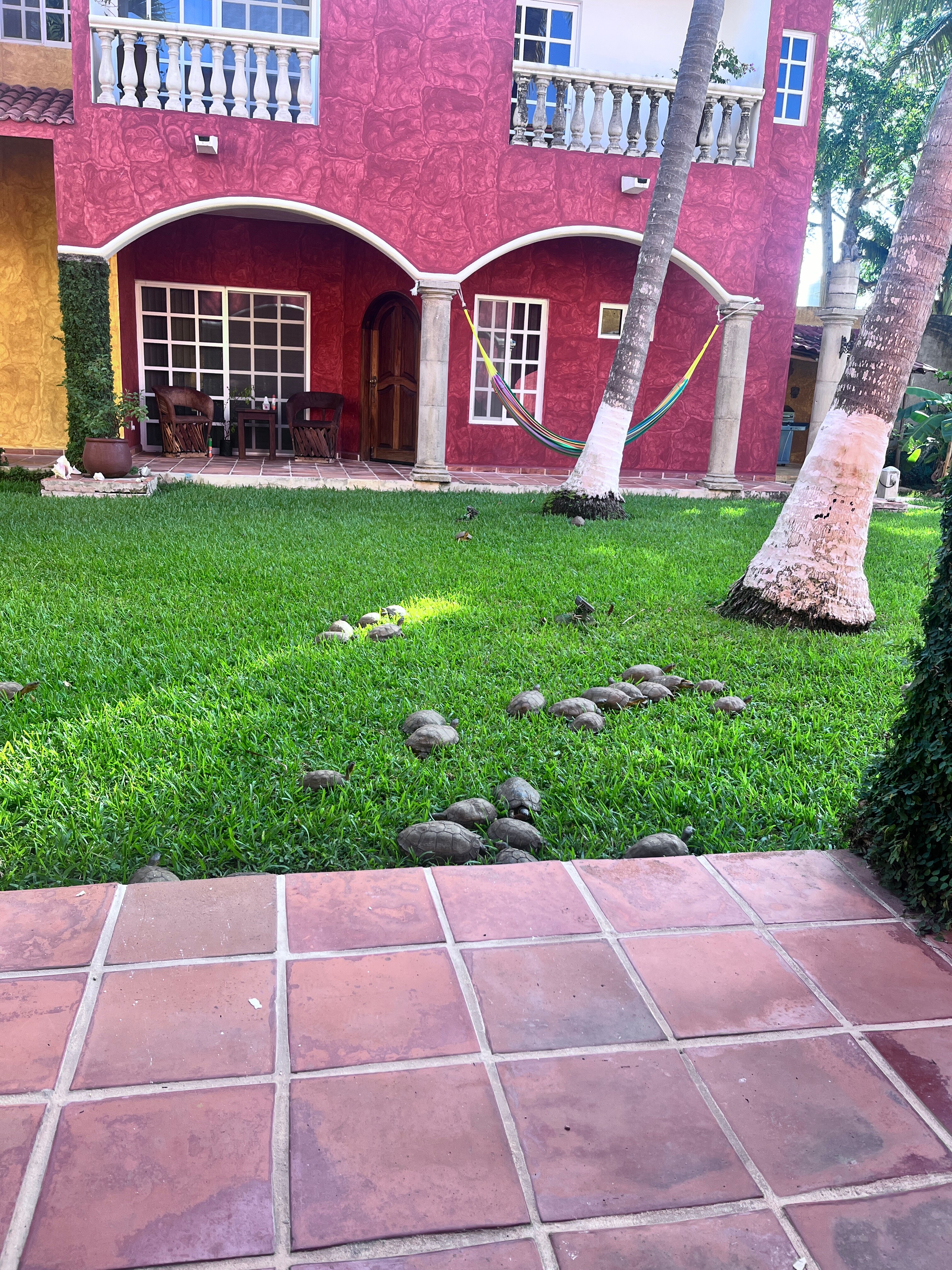 Casa Colonial-官方