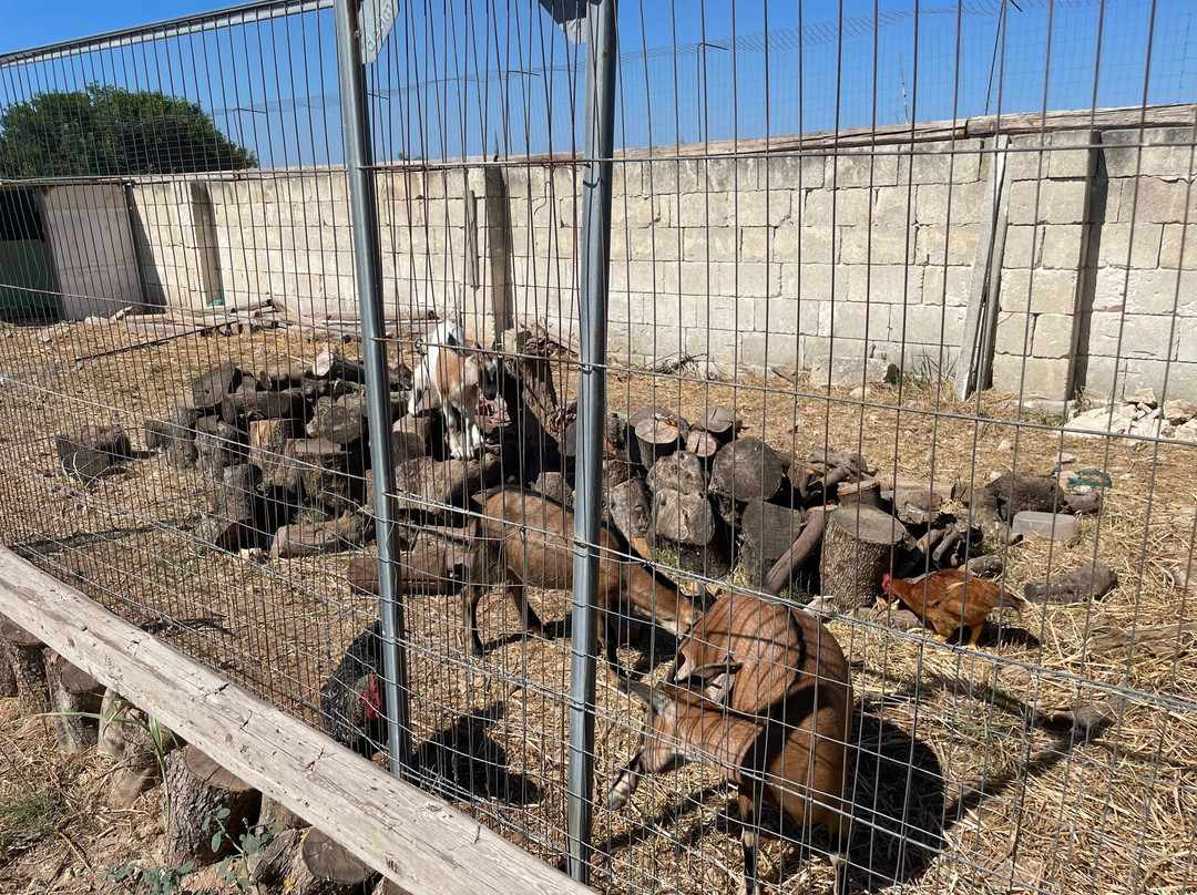 Masseria Prisuti主图