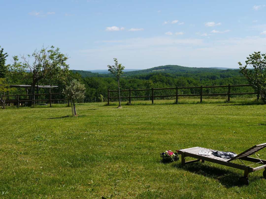 Domaine de Grand Lac-Martel必去景点