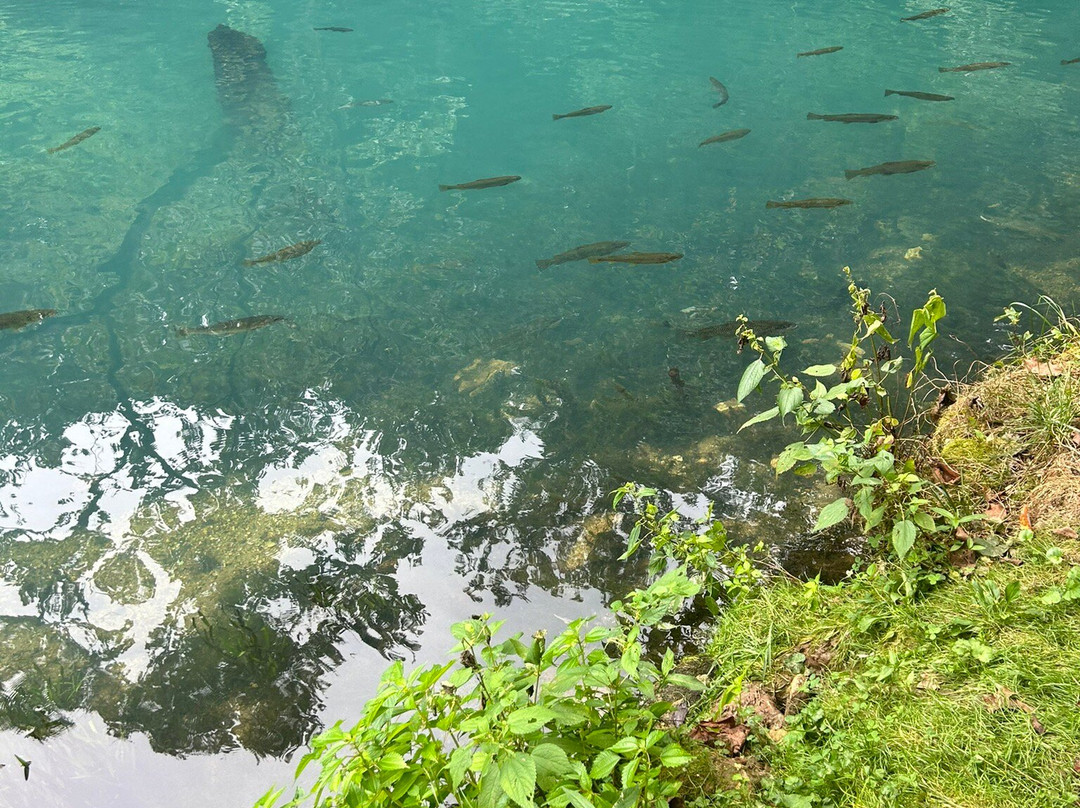 Maramec Spring Park-Saint James必去景点