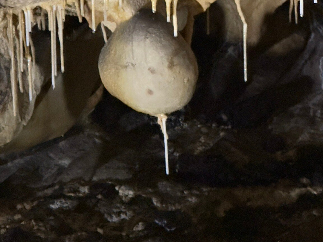 Grottes de Thouzon景点图片
