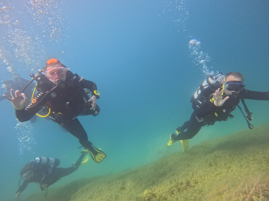 Diving Center Amfora景点图片