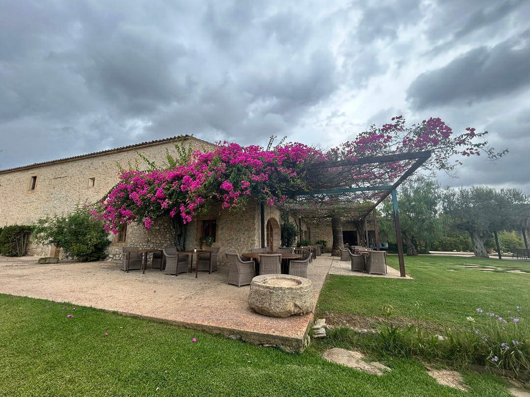 Finca Son Gener主图