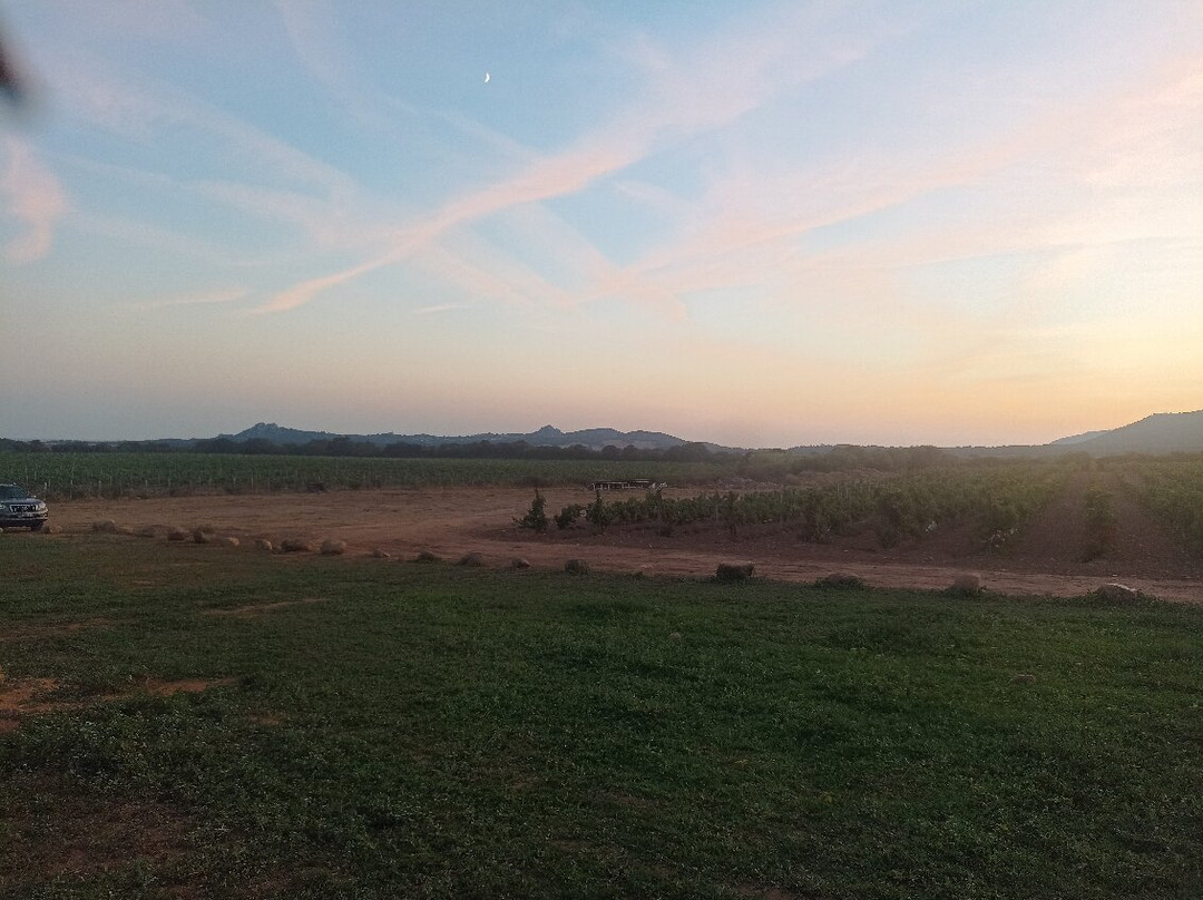 Domaine De Tanella景点图片