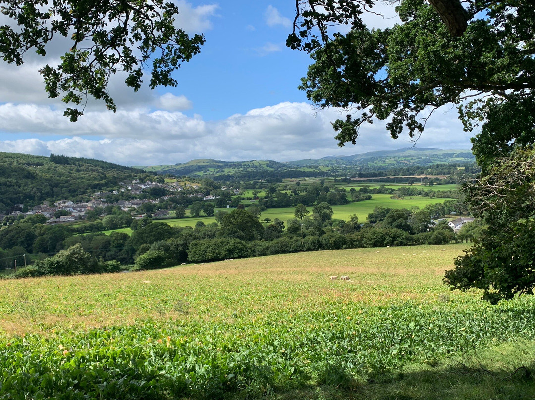 Clwydian Range Area of Outstanding Natural Beauty