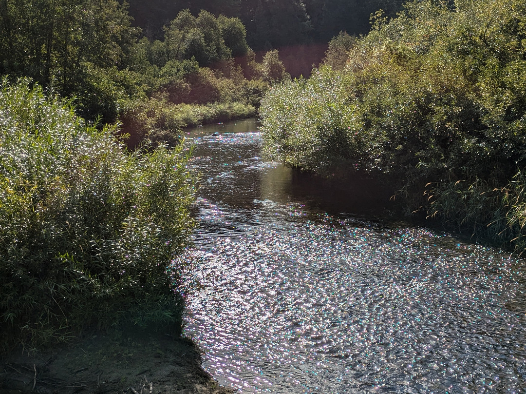 Leavenworth National Fish Hatchery景点图片