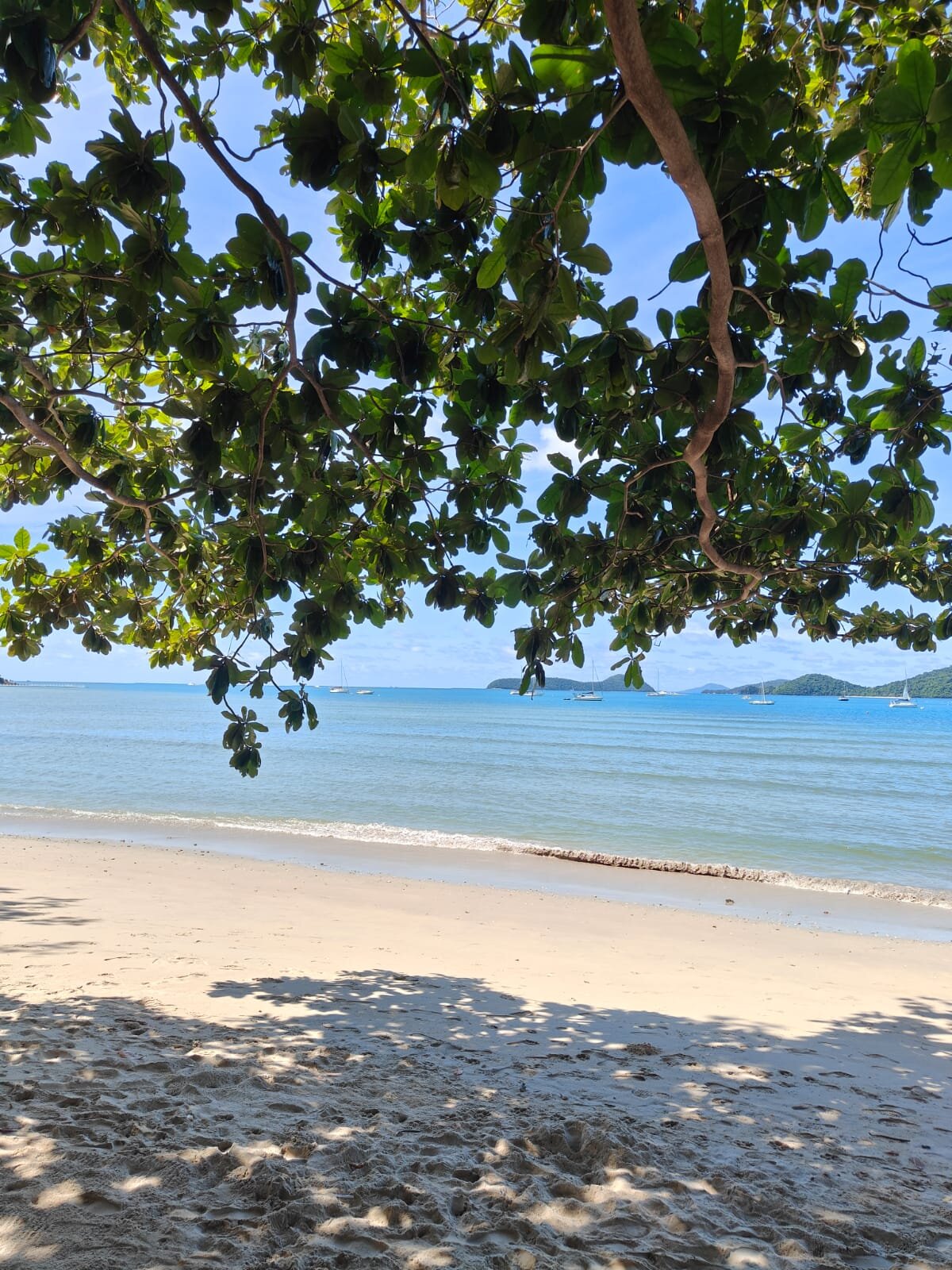 The Cove Phuket-泳池
