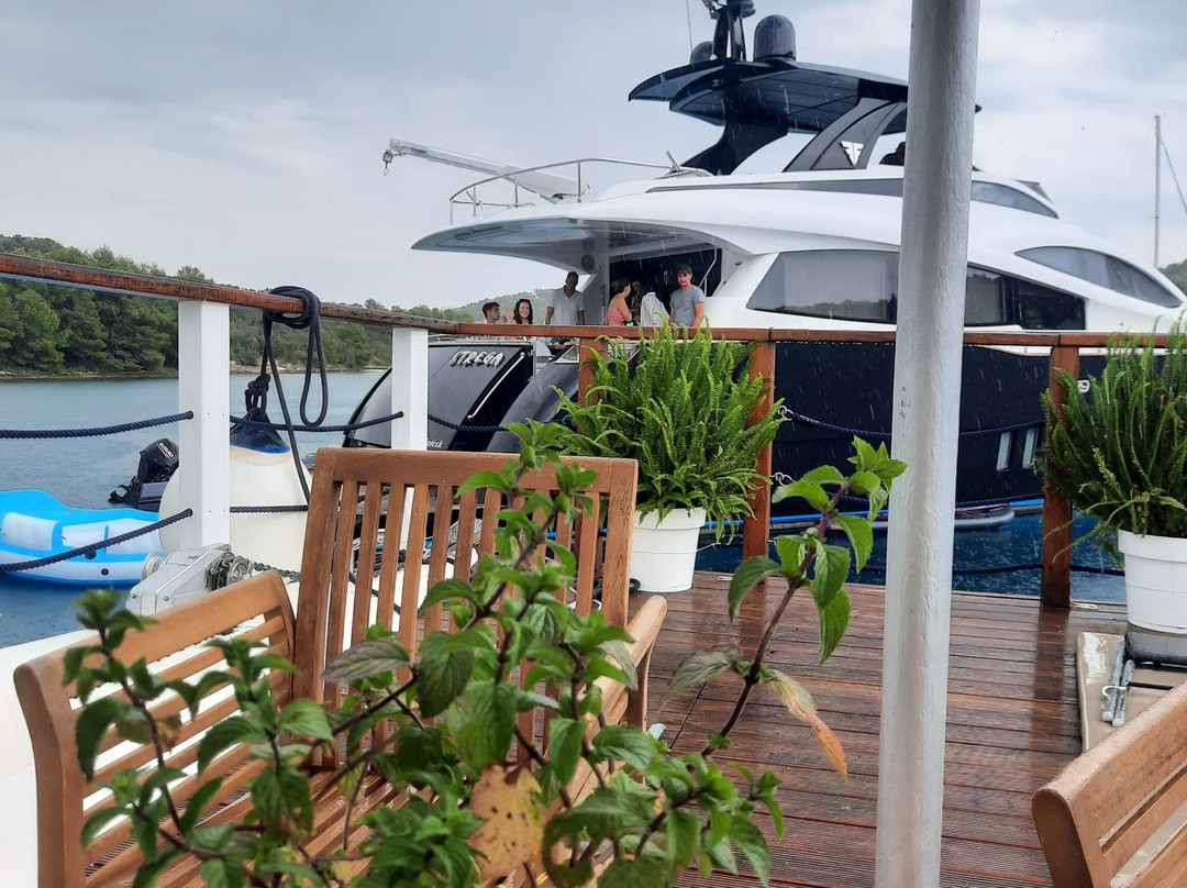 Terca Cocktail Cruise景点图片