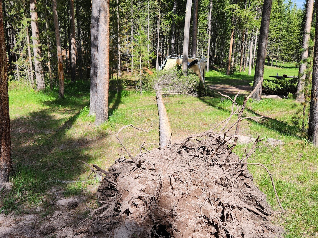 曼迪逊露营地主图