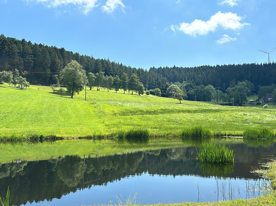 Ferienwohnungen Sagehof