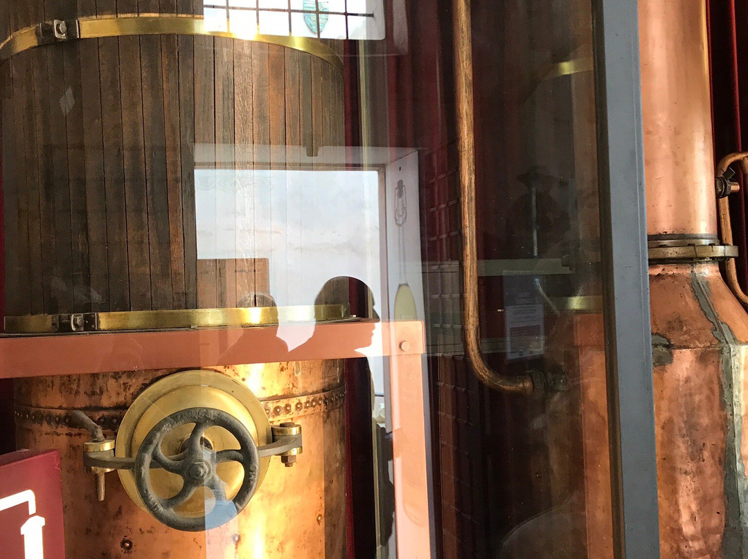 Poli Museo della Grappa景点图片